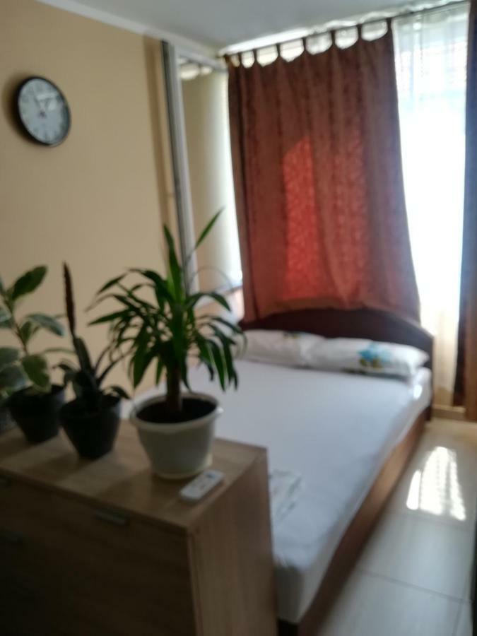 Apartments Vis Jaz Budva Buitenkant foto